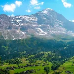 Pfingsteggblick By Interhome Апартаменты Гриндельвальд
